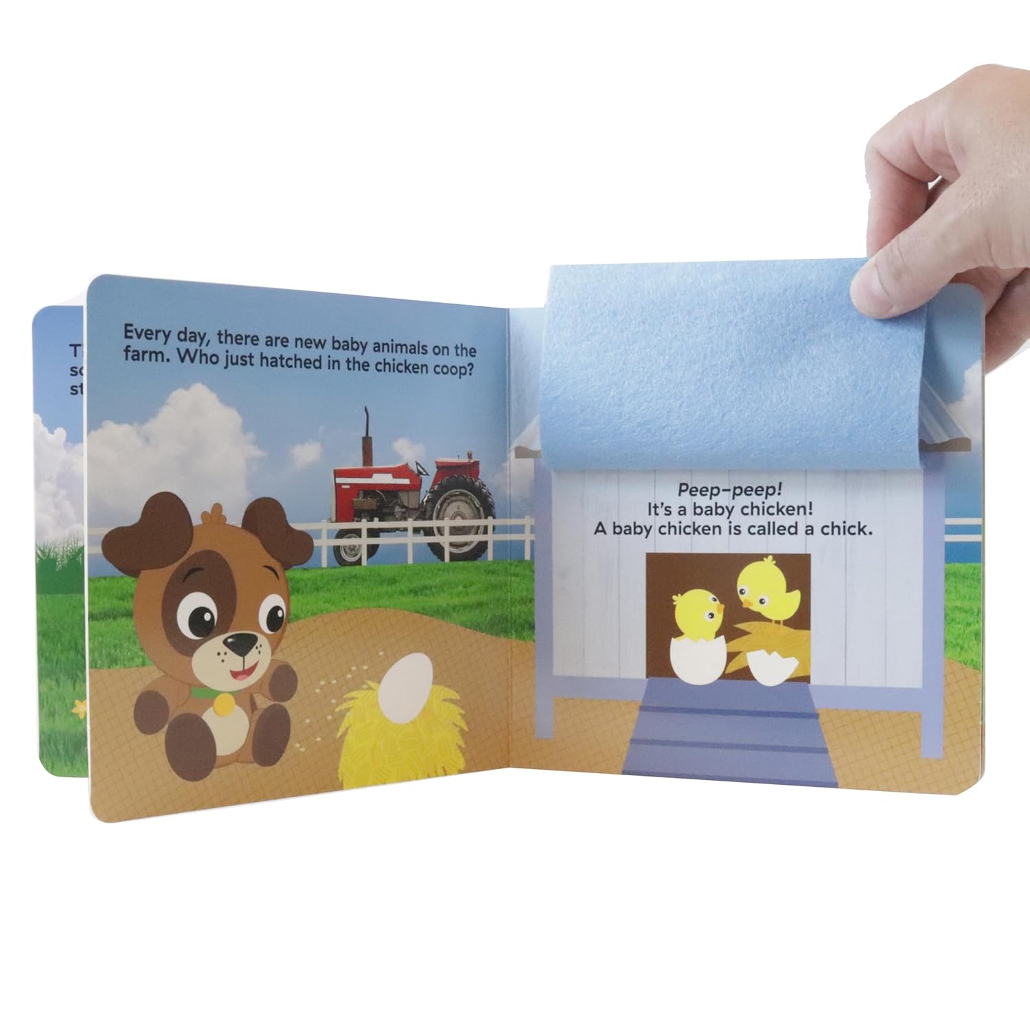 Felt Flaps - Baby Einstein Discover A Farm