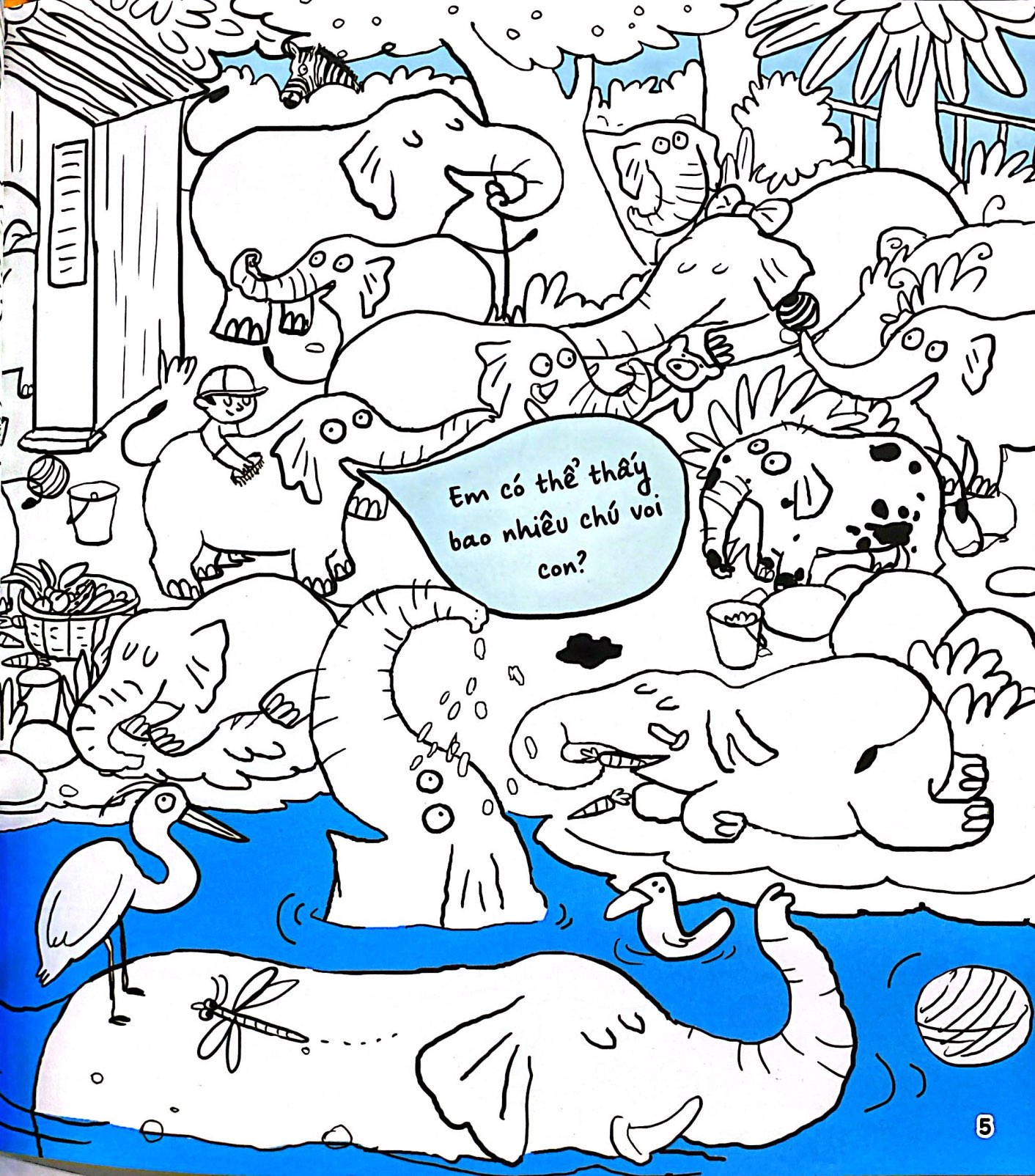 Find And Colour - Zoo