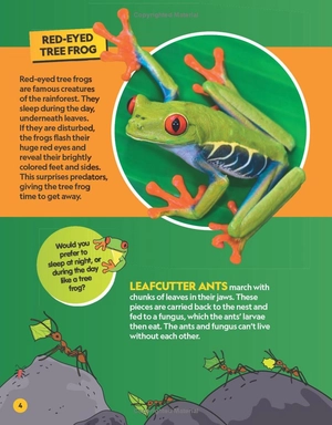 find it! explore it! animals