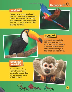 find it! explore it! animals