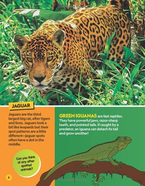 find it! explore it! animals