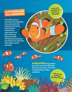 find it! explore it! ocean