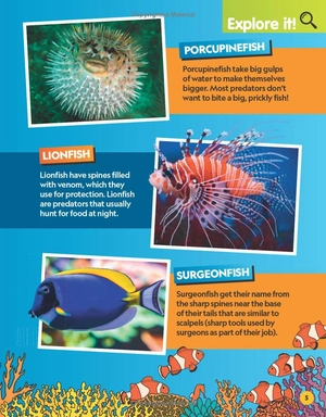 find it! explore it! ocean