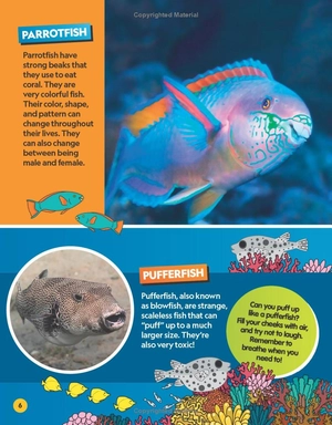 find it! explore it! ocean