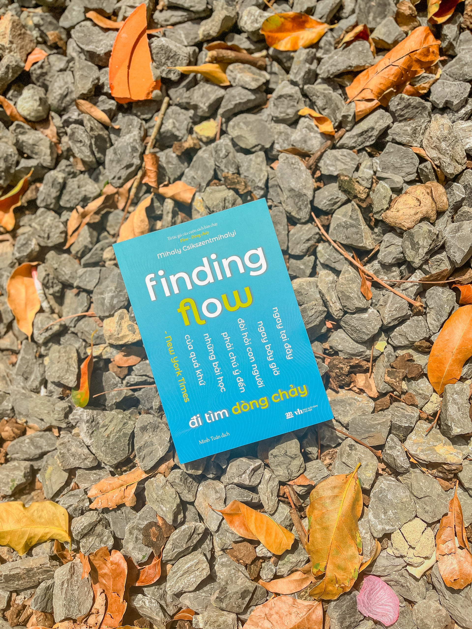 finding flow - đi tìm dòng chảy