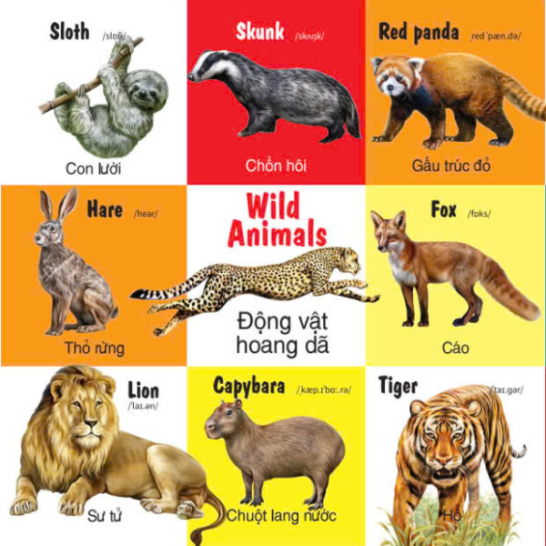 first 100 animals - 100 từ đầu tiên về các loại động vật