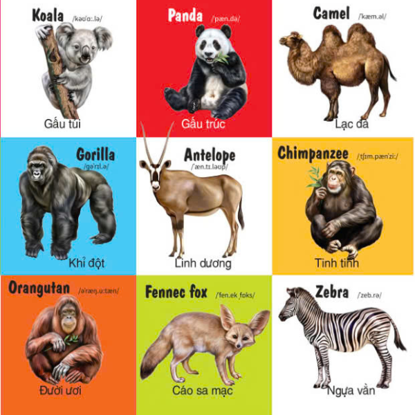 first 100 animals - 100 từ đầu tiên về các loại động vật