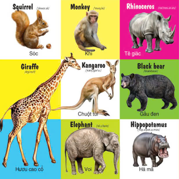 first 100 animals - 100 từ đầu tiên về các loại động vật