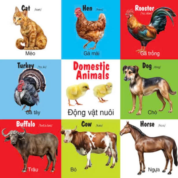first 100 animals - 100 từ đầu tiên về các loại động vật