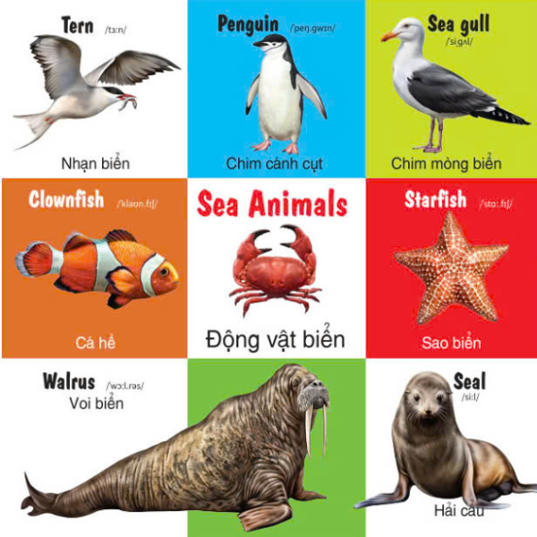 first 100 animals - 100 từ đầu tiên về các loại động vật