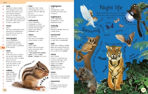 first children's dictionary: a first reference book for children (dk first reference)