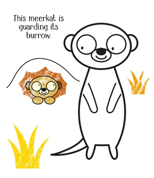 first colouring zoo animals