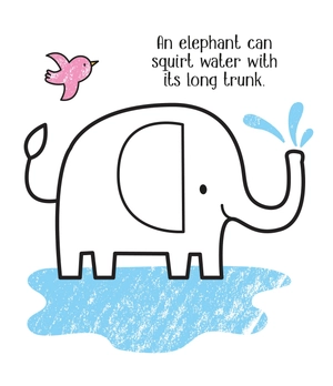 first colouring zoo animals