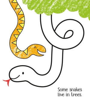 first colouring zoo animals