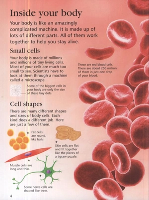 first encyclopedia of the human body