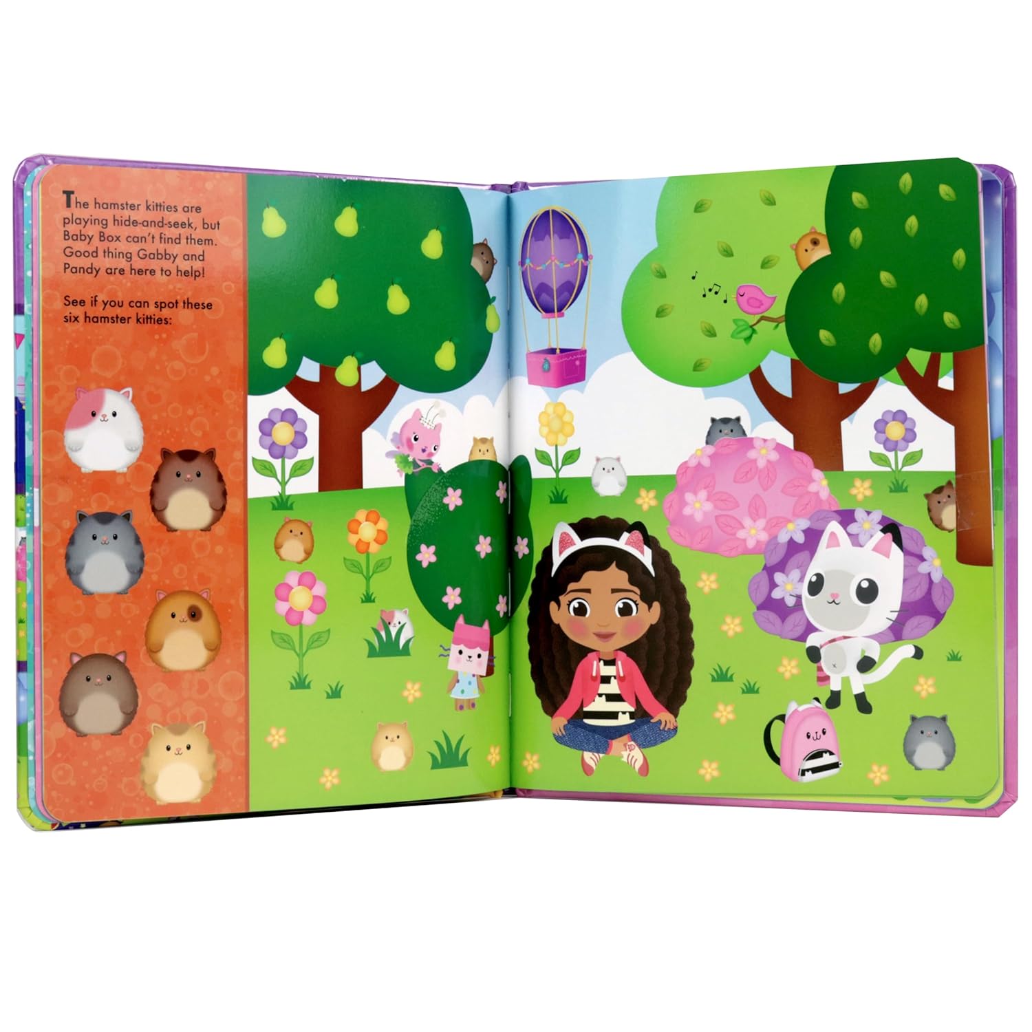 First Look And Find - Midi Gabby's Dollhouse