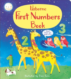 first numbers book