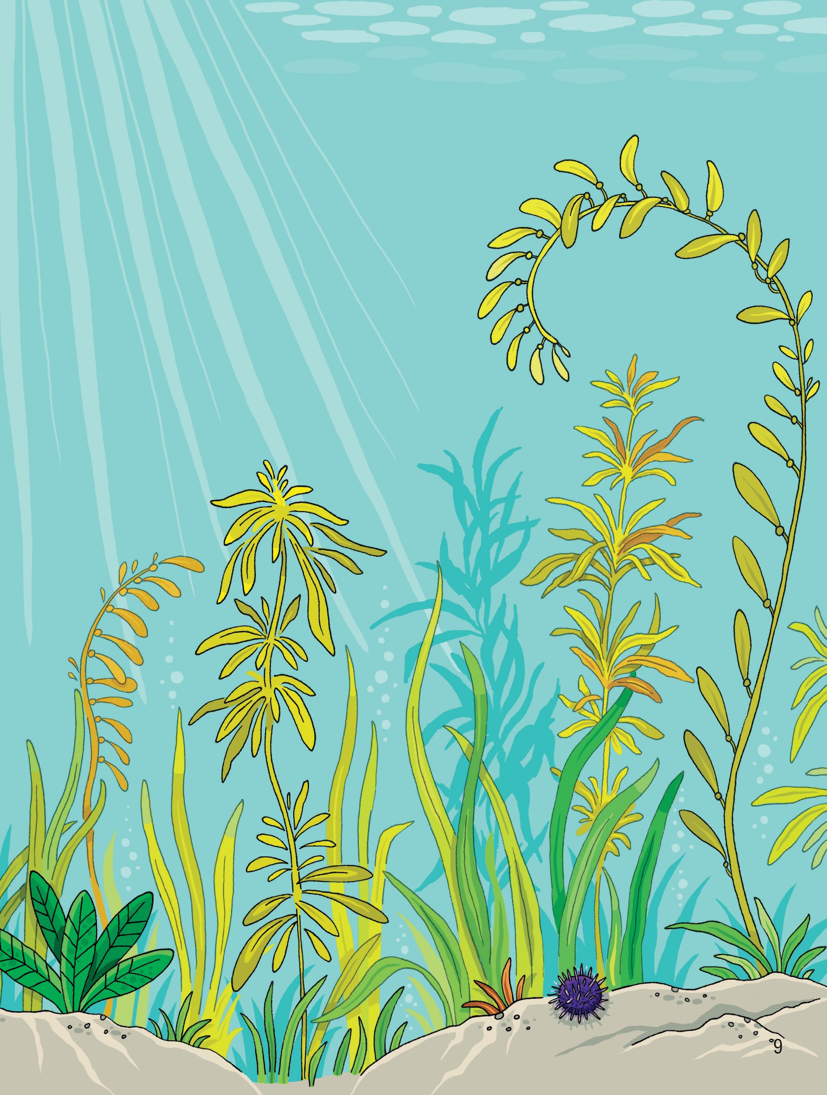 first sticker book - sách dán hình đầu đời cho bé - đại dương