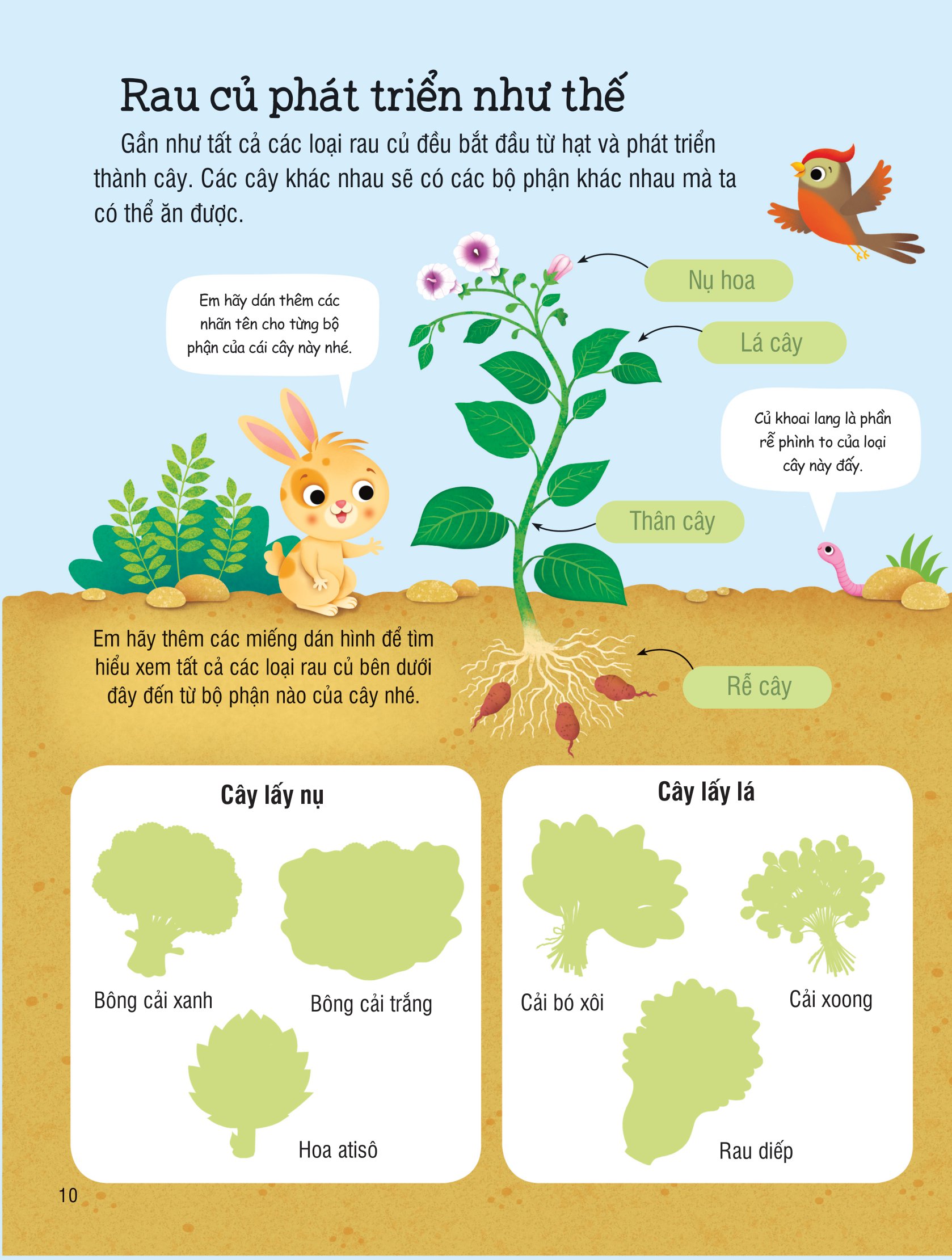 first sticker book - sách dán hình đầu đời cho bé - trái cây và rau củ