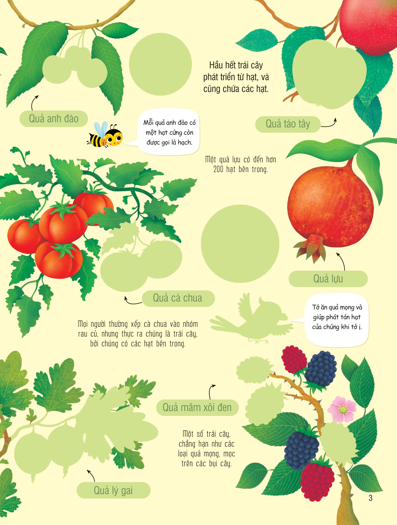 first sticker book - sách dán hình đầu đời cho bé - trái cây và rau củ