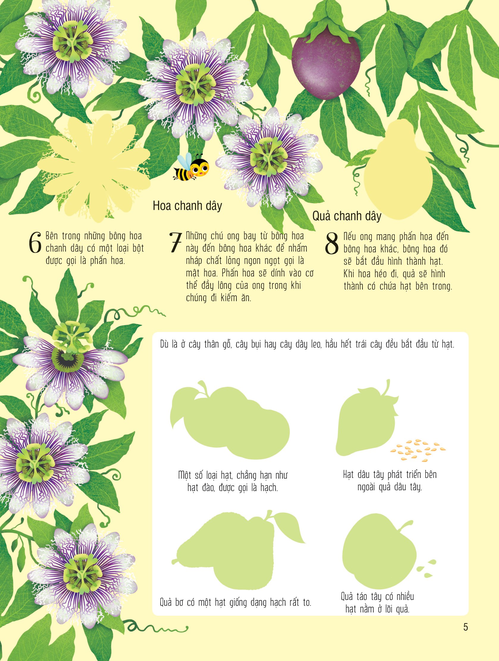 first sticker book - sách dán hình đầu đời cho bé - trái cây và rau củ