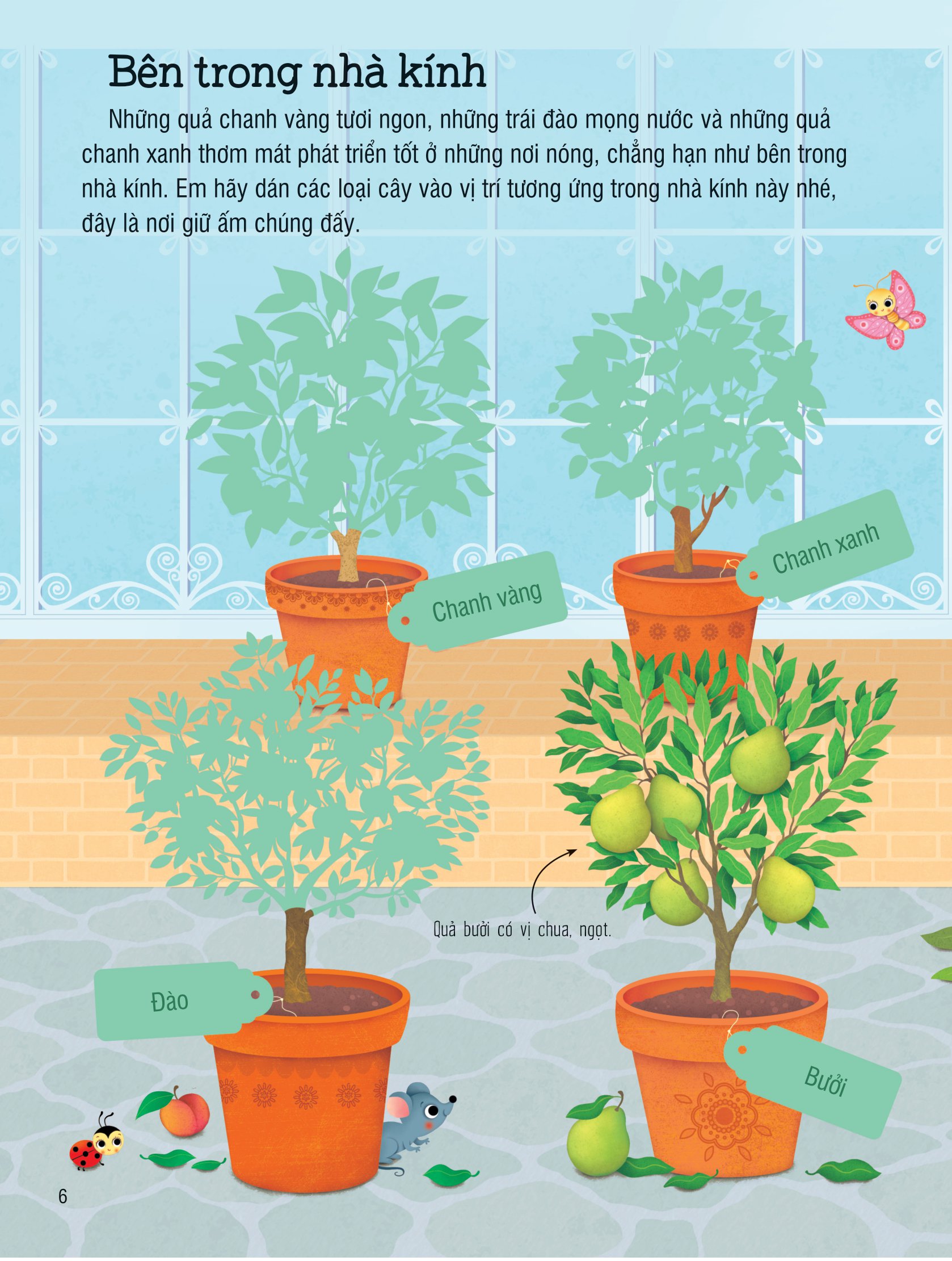 first sticker book - sách dán hình đầu đời cho bé - trái cây và rau củ