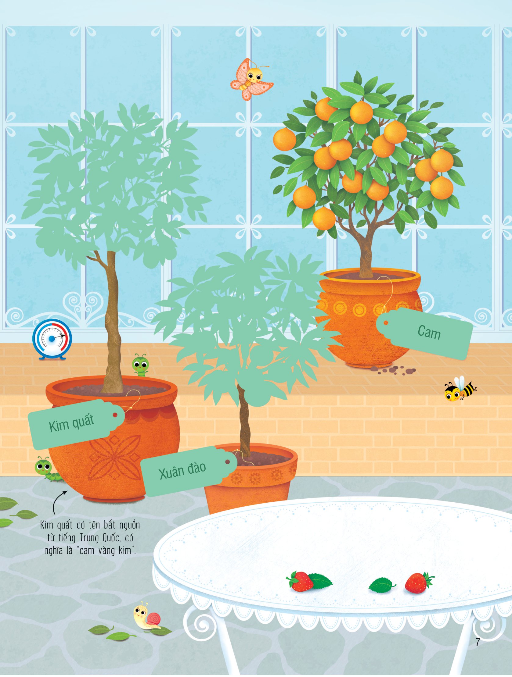 first sticker book - sách dán hình đầu đời cho bé - trái cây và rau củ