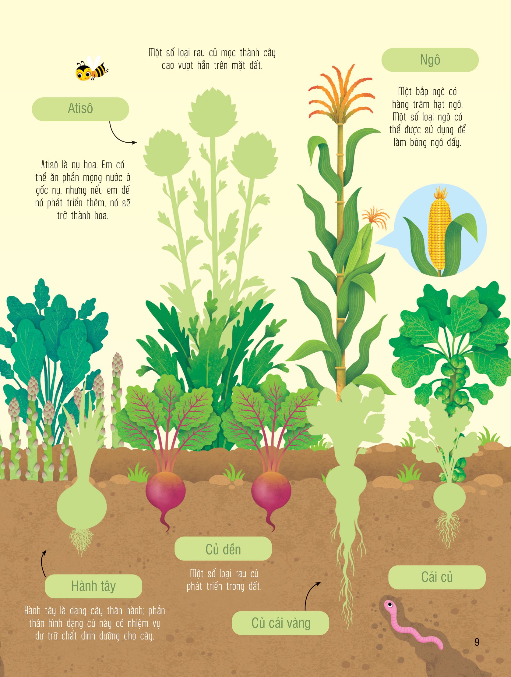 first sticker book - sách dán hình đầu đời cho bé - trái cây và rau củ