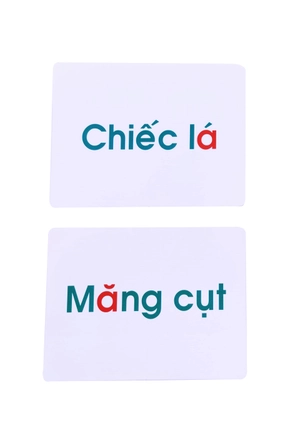 flash card glenn doman - thế giới quanh em - bảng chữ cái tiếng việt (tái bản 2023)