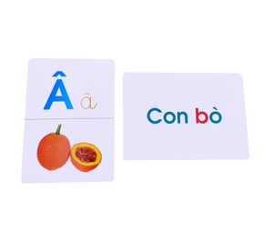 flash card glenn doman - thế giới quanh em - bảng chữ cái tiếng việt (tái bản 2023)