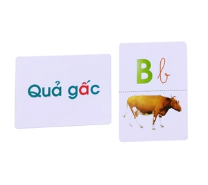 flash card glenn doman - thế giới quanh em - bảng chữ cái tiếng việt (tái bản 2023)