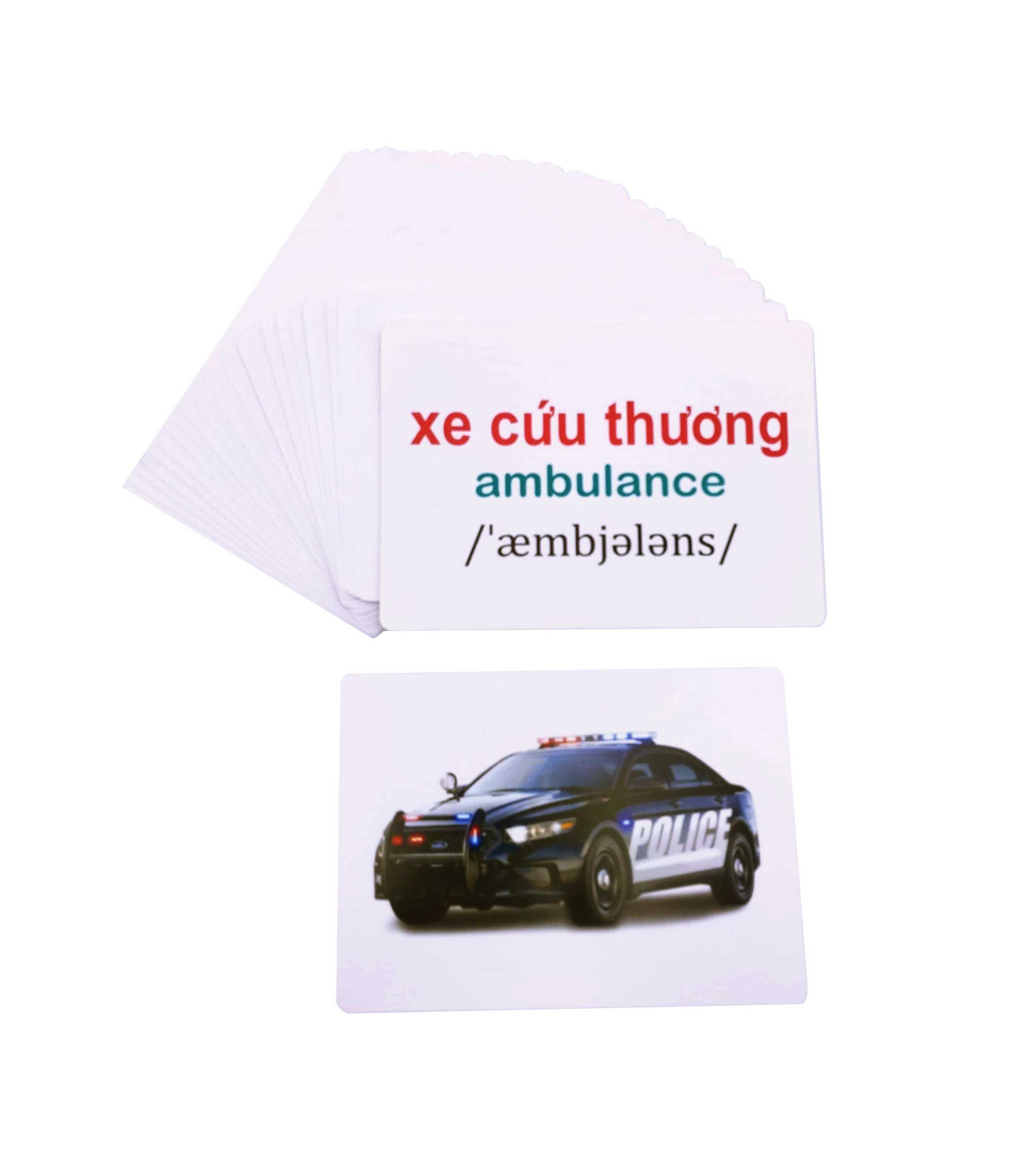 flash card glenn doman - thế giới quanh em - phương tiện giao thông