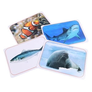 flash card thông minh - động vật biển