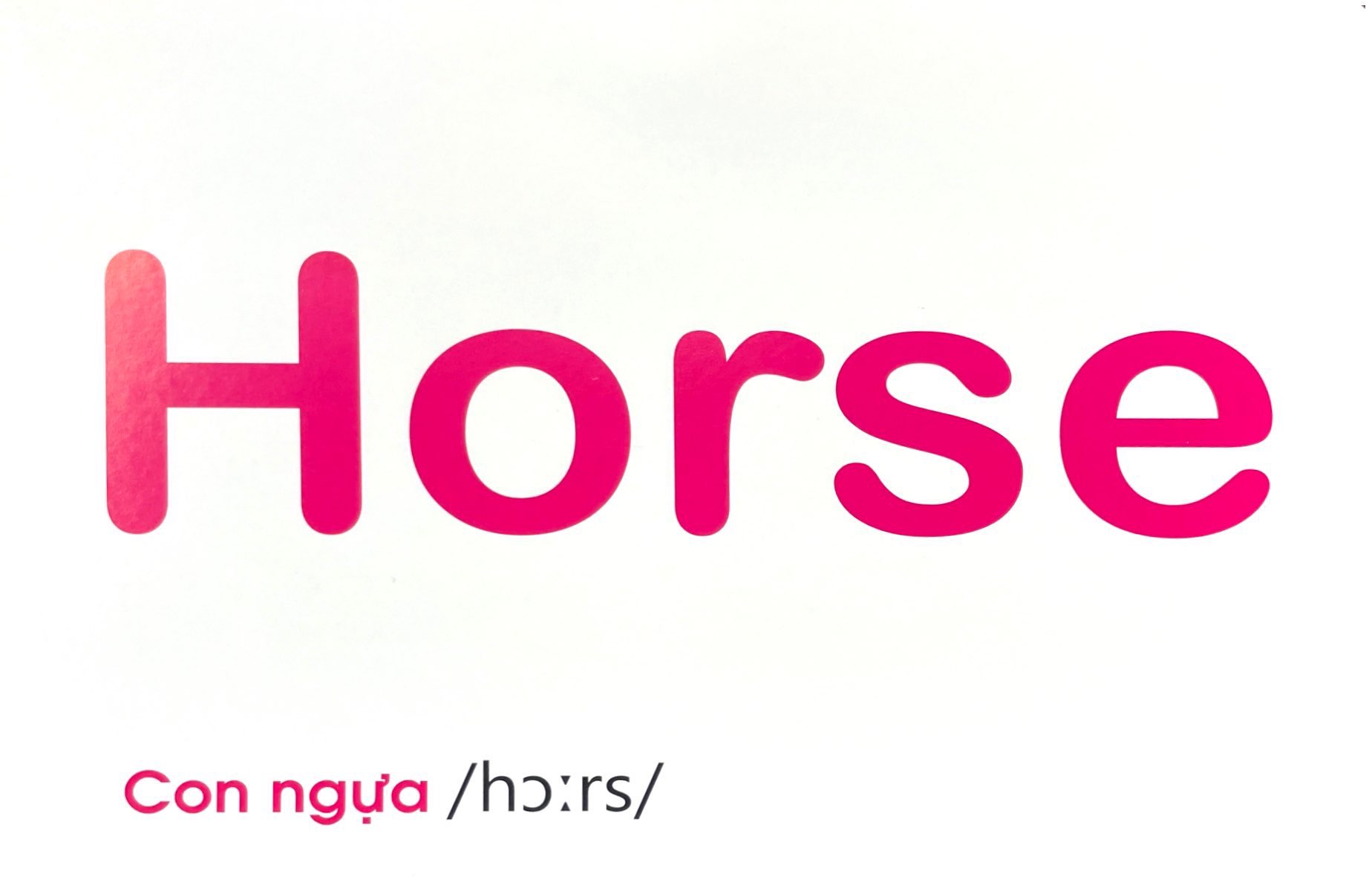 flash card tiếng anh - domestic animals (động vật nuôi) (tái bản 2023)