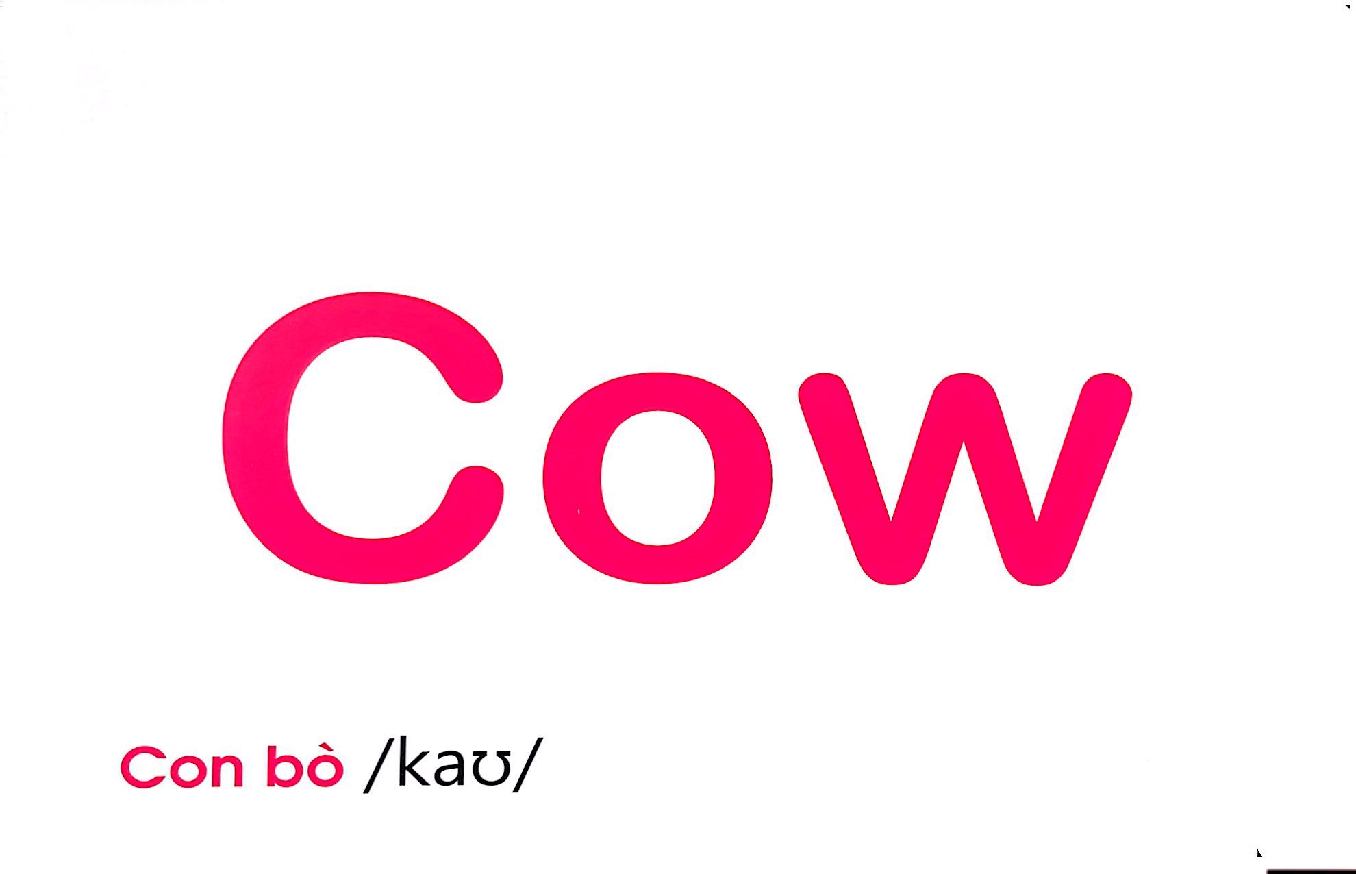 flash card tiếng anh - domestic animals (động vật nuôi) (tái bản 2023)