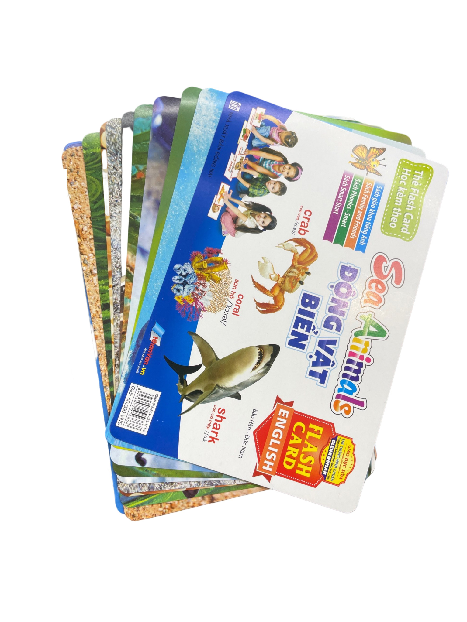 flash card tiếng anh - sea animals (động vật biển) (tái bản 2023)