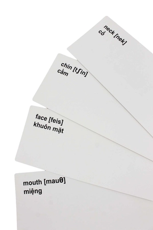flash card tiếng anh - từ đơn giản