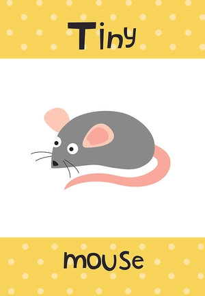 flash cards - early learning green (25 cards)