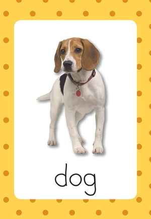 flash cards - first learning orange (25 cards)