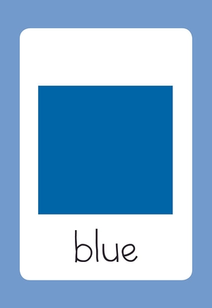 flash cards - first learning orange (25 cards)