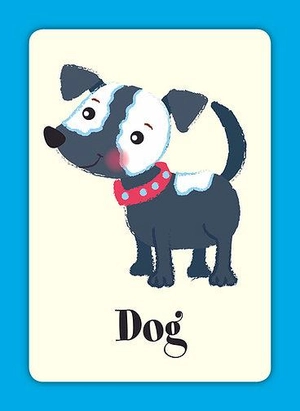 flash cards first learning - sarah