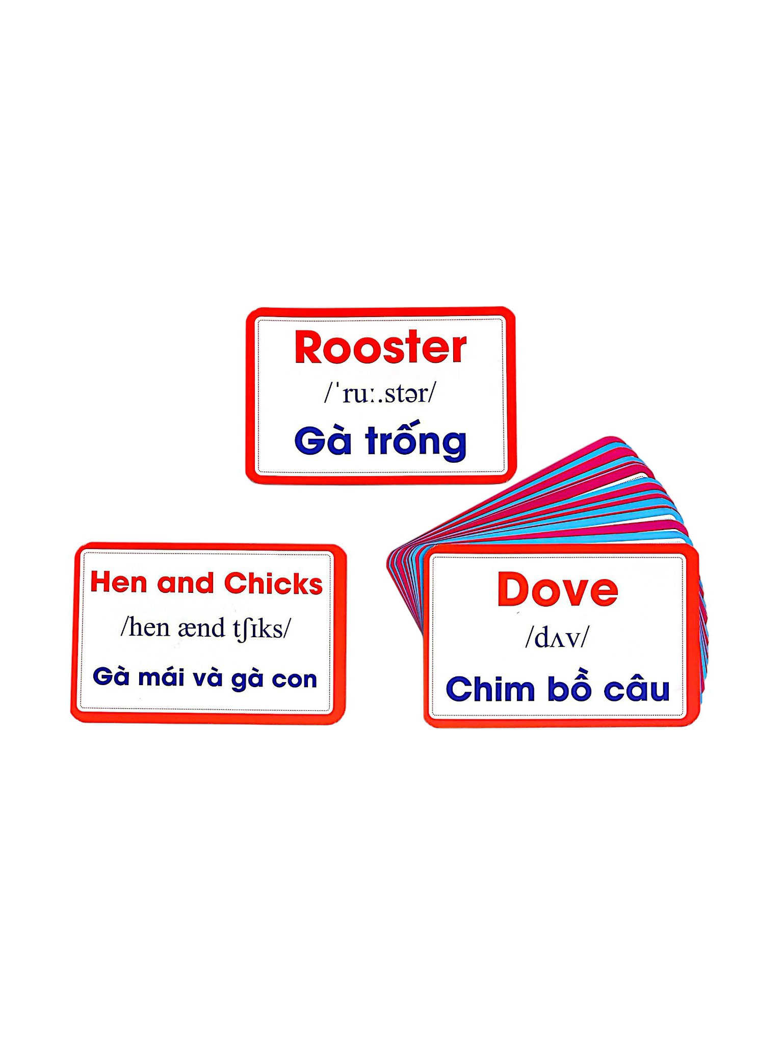 Flashcard - Bộ Thẻ Vật Nuôi - Domestic Animals - Song Ngữ Việt-Anh (Tái Bản 2026) - Ảnh 4