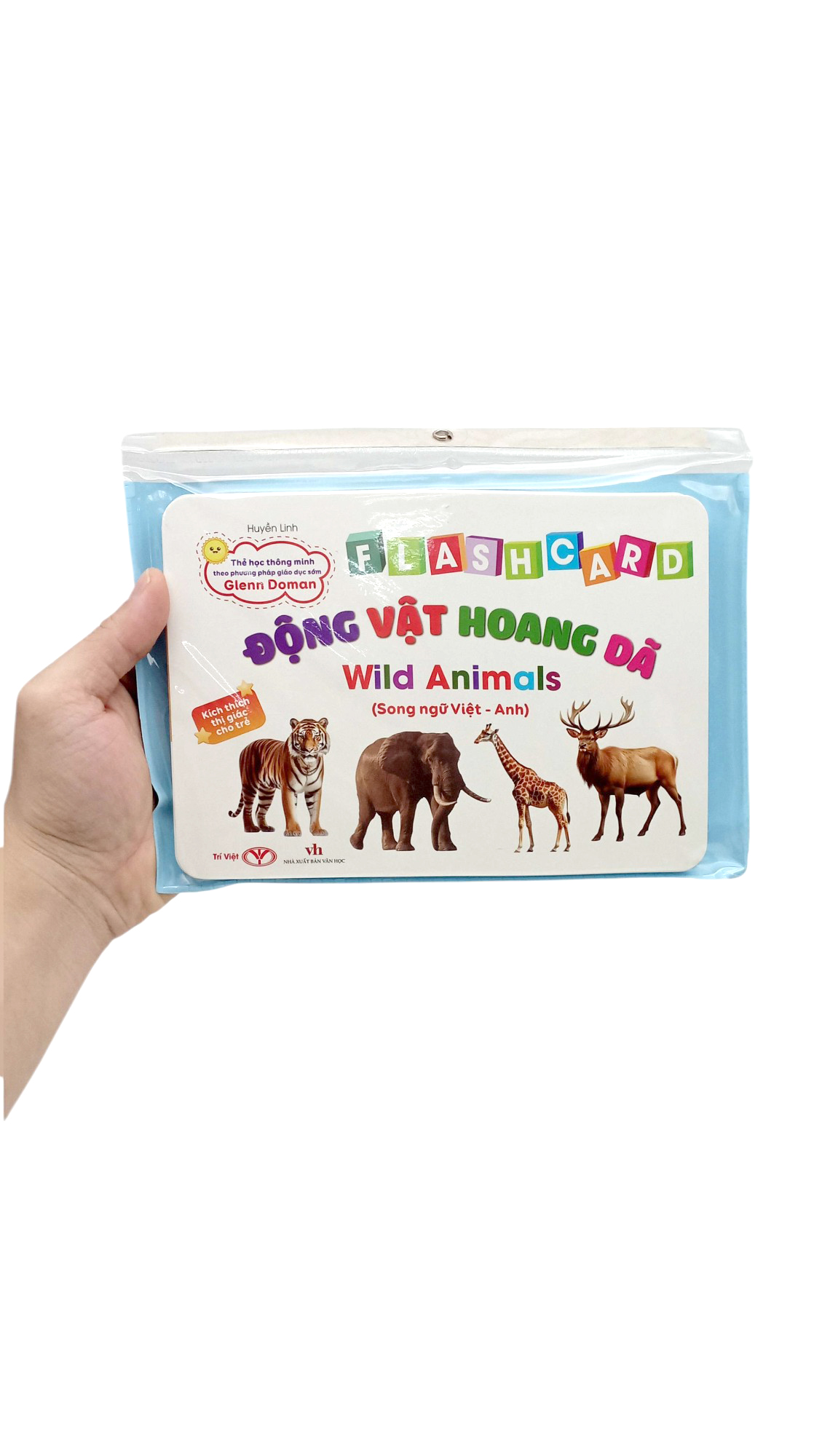 flashcard động vật hoang dã - wild animals