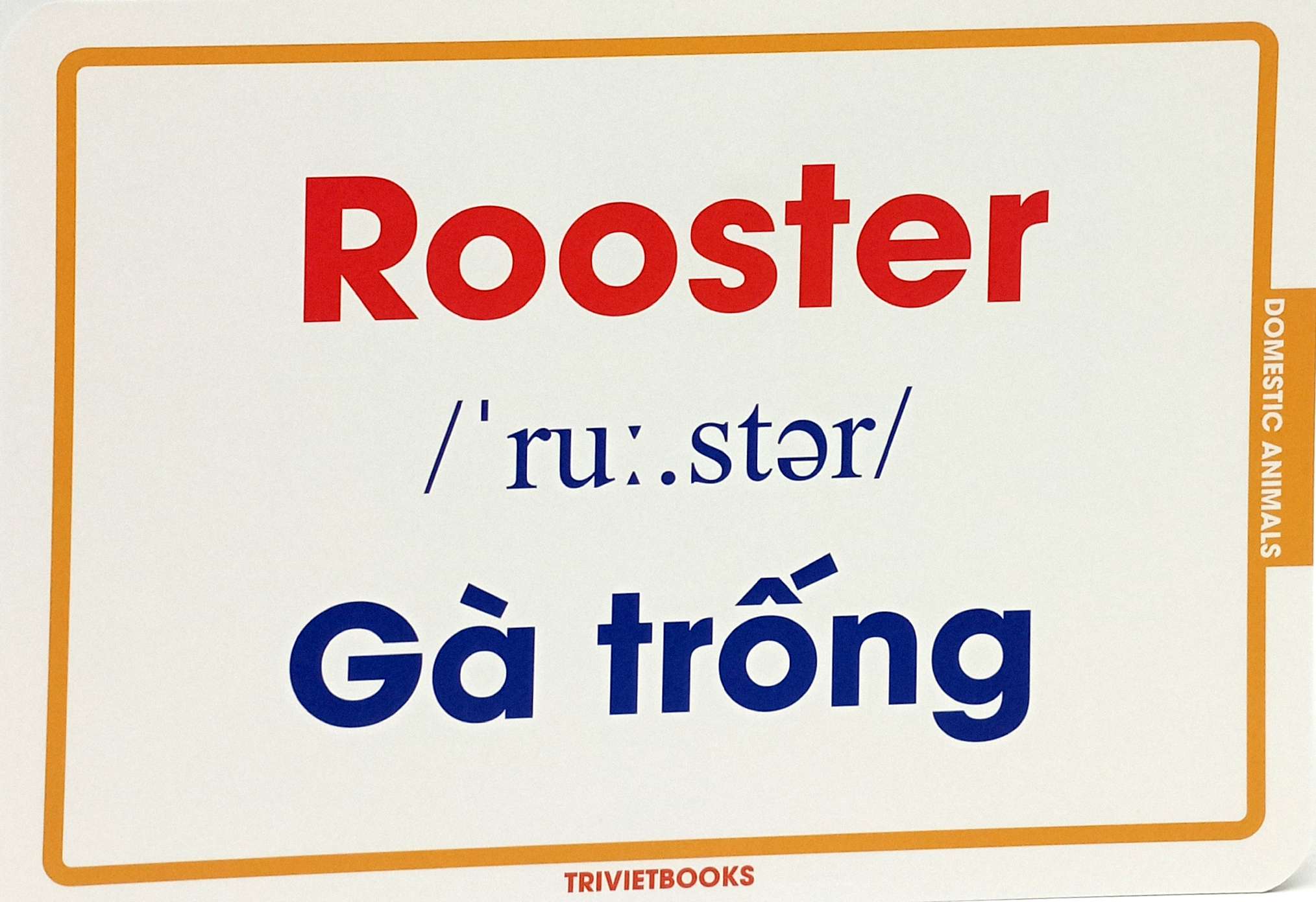 flashcard động vật nuôi - domestic animals