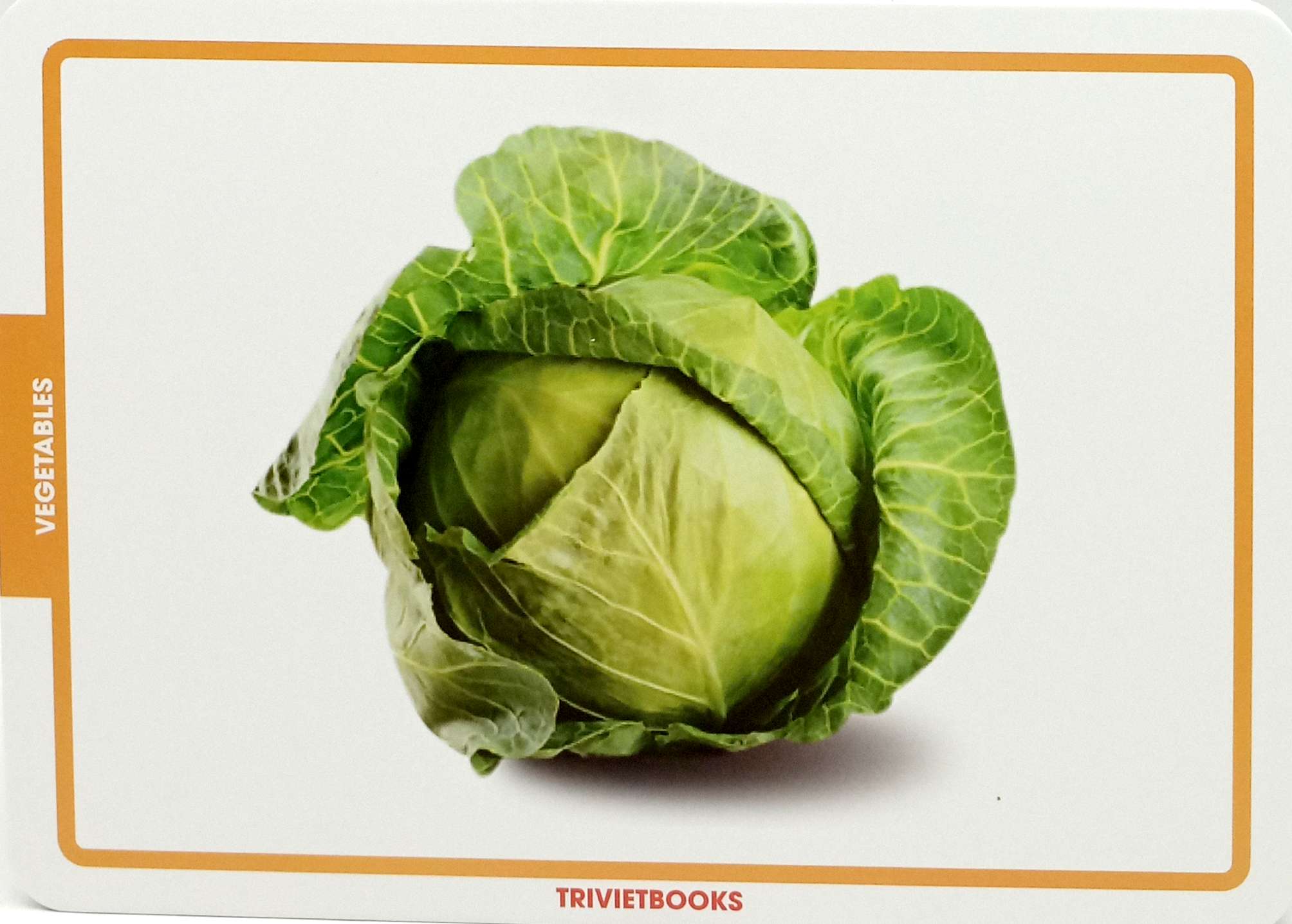 flashcard rau củ quả - vegetables