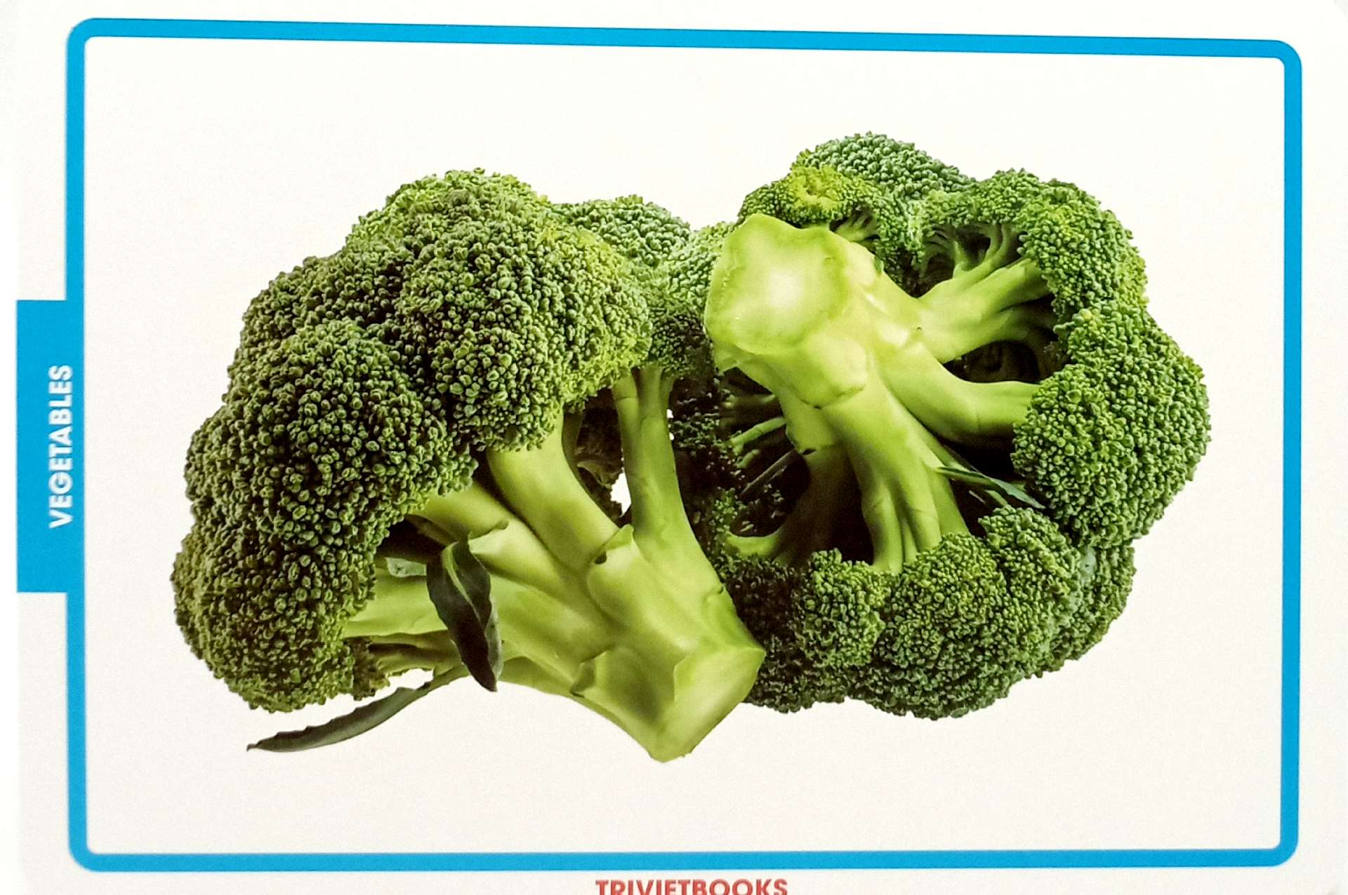 flashcard rau củ quả - vegetables