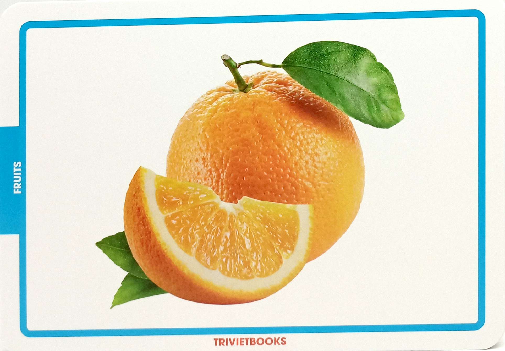 flashcard trái cây - fruits