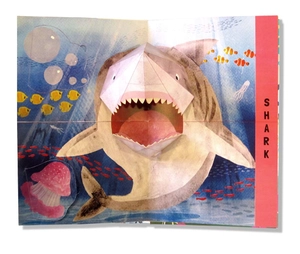 flip flap snap - ocean