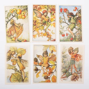 flower fairies one hundred postcards