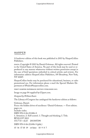 focus: the hidden driver of excellence